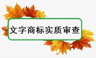 文字商標實質(zhì)審查