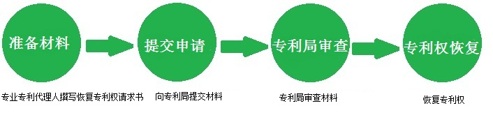 專利權(quán)恢復流程